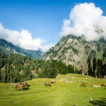 Sonamarg Destination