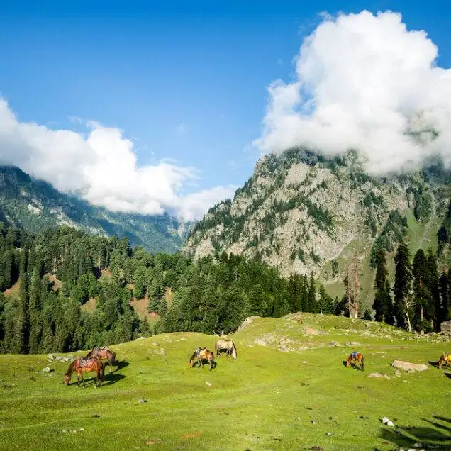 Sonamarg
